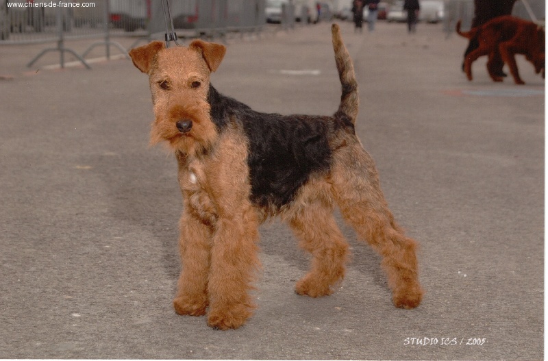 CH. Ukaï du clos du Semberg