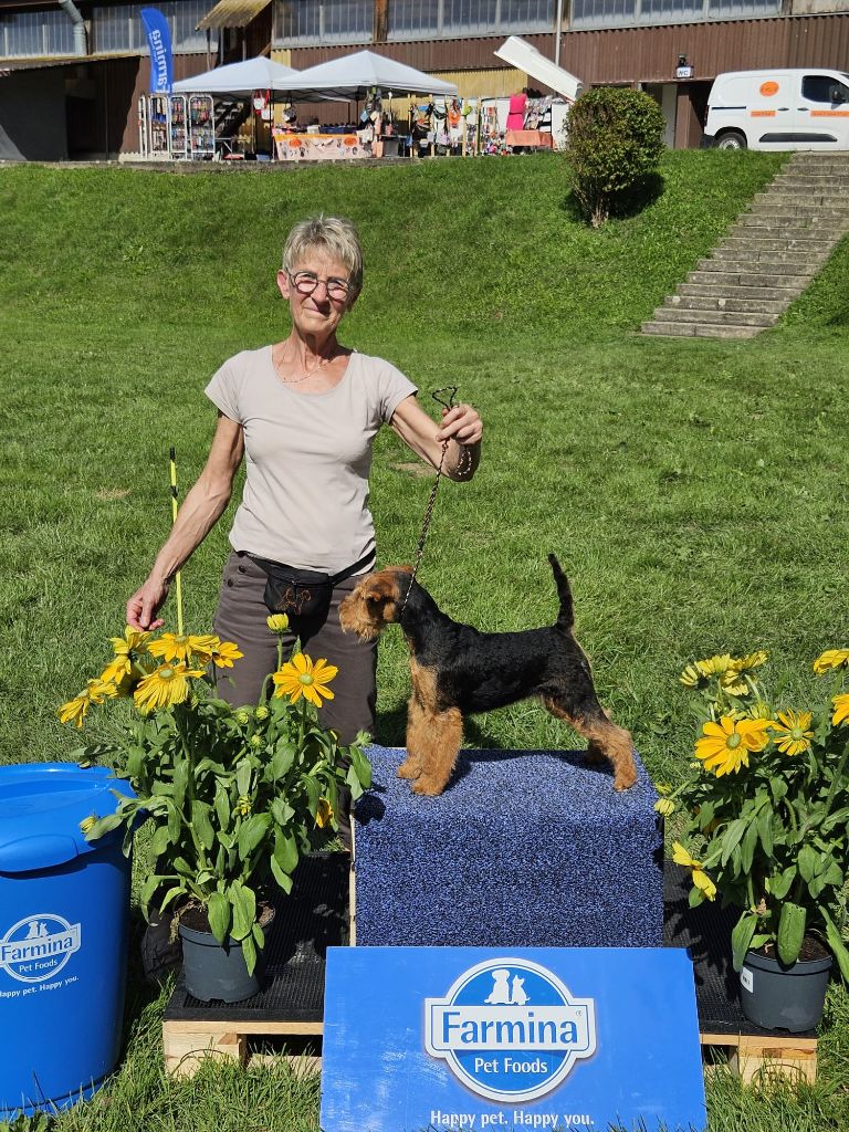 ABBY, première sortie en expo