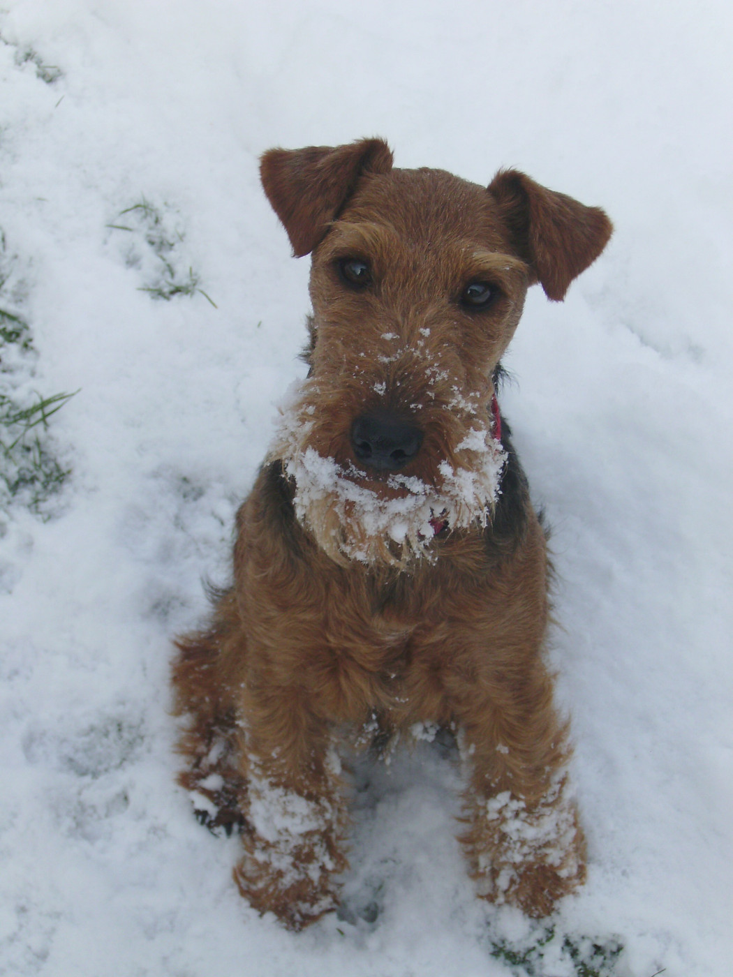 MEILLEURS VOEUX pour la nouvelle année !