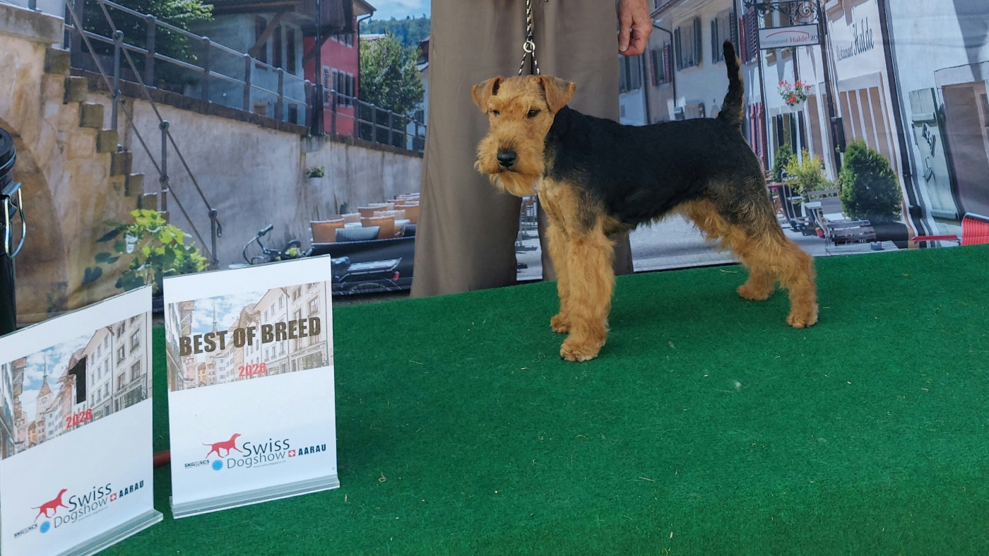 ABBY Championne Suisse de Beauté